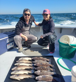 Book now for Black Seabass action in NYC water!
